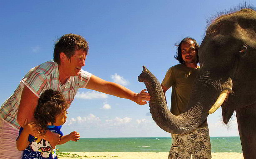 Baby elephant on the beach in Thailand