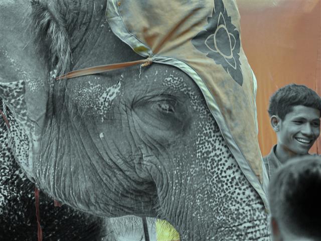 Nong Nooch, Pattaya Thailand Nong Nooch, Pattaya Thailand