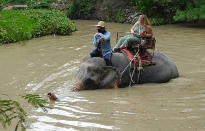 Elephant riding in Pattaya, Thailand