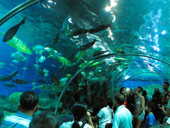 the popular family-friendly Underwater world aquarium in Pattaya