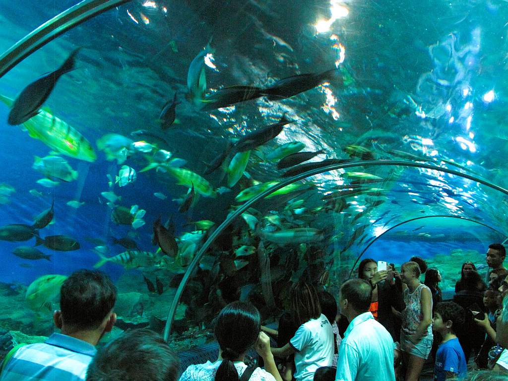 the popular family-friendly Underwater world aquarium in Pattaya