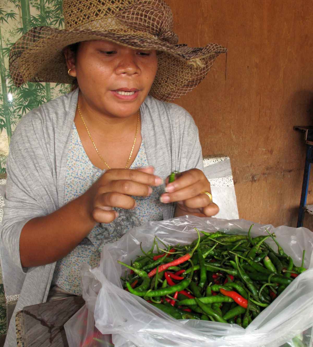 The Thai Chilli Prepper | Pattaya Unlimited