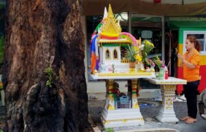 Paying respect to spirits at the tamarind tree on Walking Street in Pattaya
