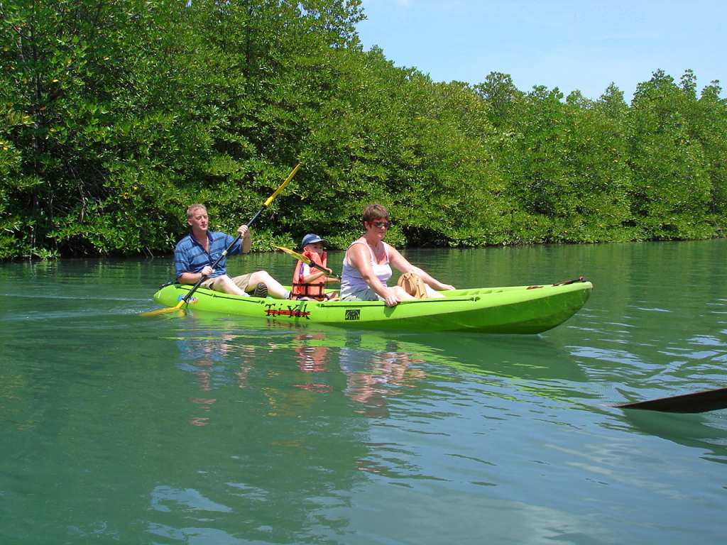 Kayaking through the mangrove swamp at Salakkok Bay, Koh Chang