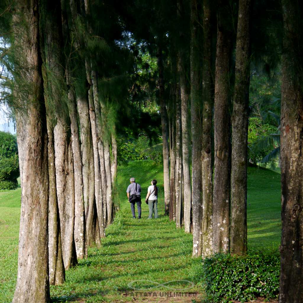 A couple exploring Cherdchoomit garden in Pattaya