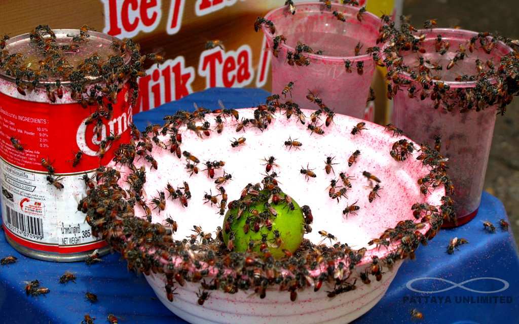 Thai honeybees gathered at a stall selling sweet drinks in Pattaya