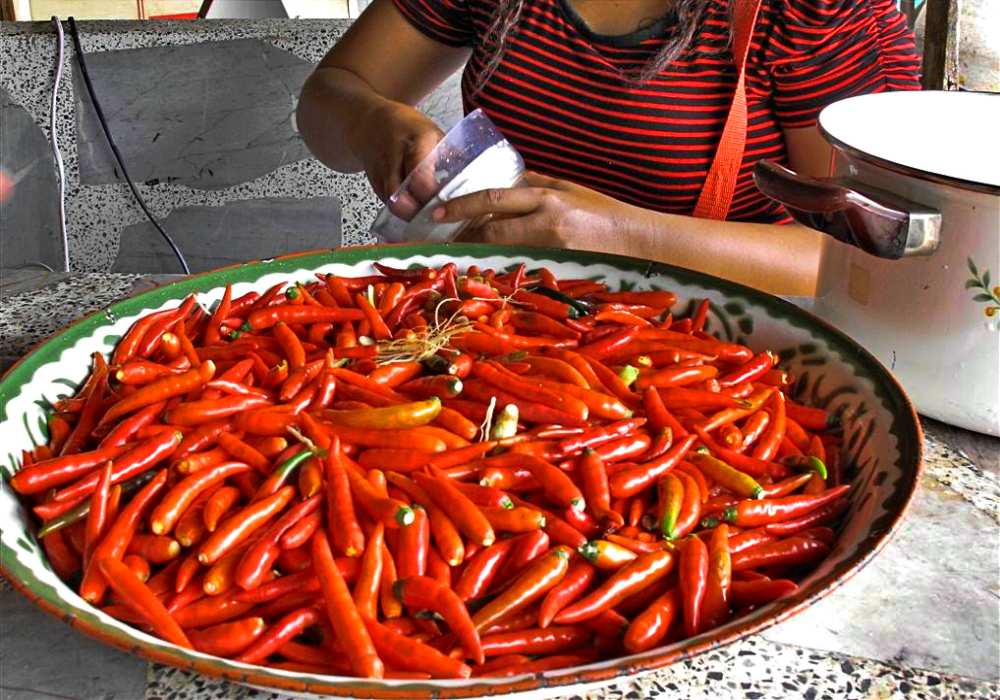Thai red chili peppers