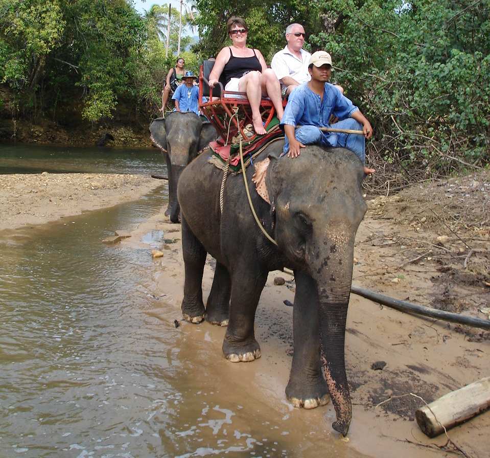 Elephant trekking, Koh Chang